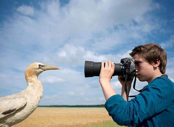 LR_site_Titaantje-Corne-Koopmans_Natuur-Fotograaf_DSC3202_IDZ.jpg