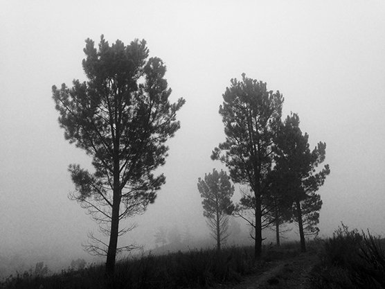 site-Dirt-Road--family.jpg